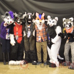 Furrnion