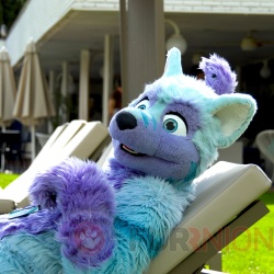 Furrnion III